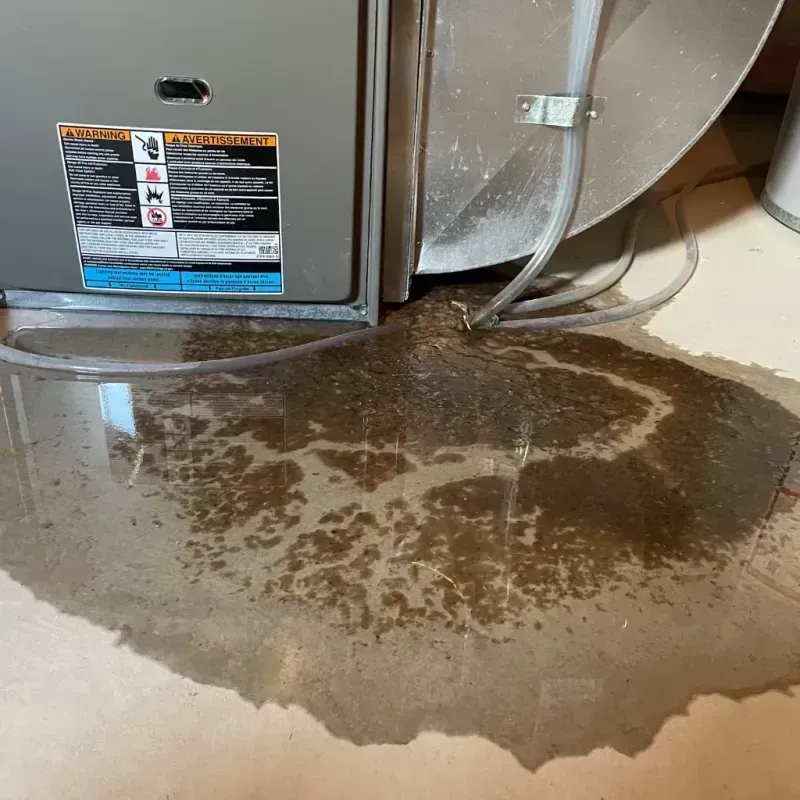 Appliance Leak Cleanup in Marfa, TX